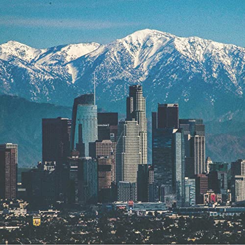 Free Mind Collective Podcast copertina