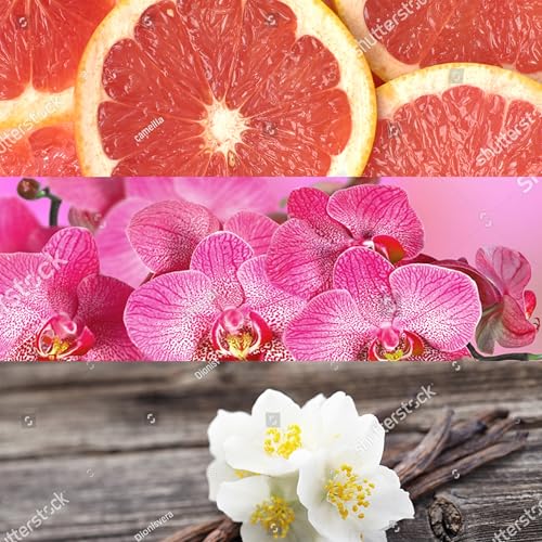 colonia the one mujer