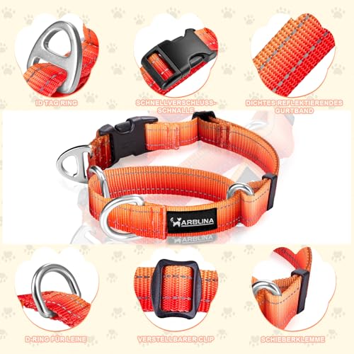 Arblina Martingale Hundehalsband, Reflektierendes Zugstopp Halsband Hunde für Große Mittlere und Kleine Hunde, Nylon Zughalsband mit Stopp für Hunde Whippets, Greyhounds, Saluki, Orange,L