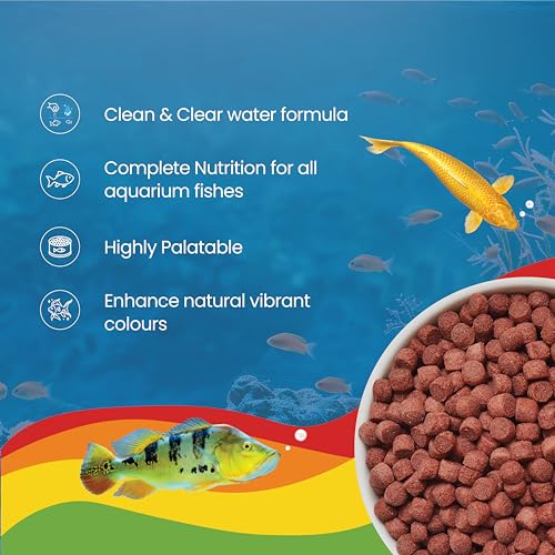 Image of Medium Floating Fish Food Pellets 100g | 5.5mm Pellet Size | Highly Digestible & Nutritious Fish Feed for All Aquarium Fish