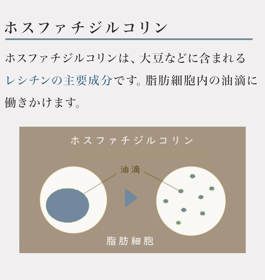Amazon.co.jp: curvesheet(カーブシート)ボディシート60枚(6箱)+