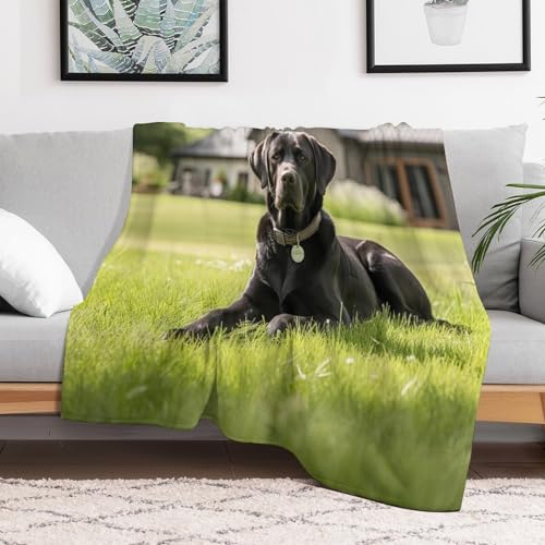 Couverture de balcon et camping plaid flannel chien doux 130x180cm pour maison