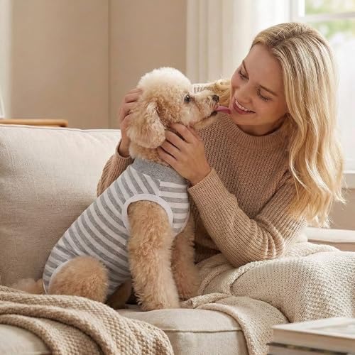 TQFlow Hundbody Nach Op, Body Hund Kastration Wundschutzanzüge Hündin Rüde, Wundschutz Professioneller Pet Recovery Suit, Operationsbody Hund Body Atmungsaktiv Hunde Einteiler (Grau,XS)
