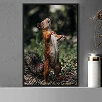 Framed Canvas Wall Art Squirrel Animals Fun Living Room Multicolor Photography Rustic Squirrel - 16x24 inches