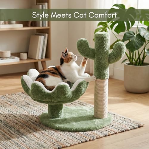 Image of FURRLOVERS Cactus Cat Tree with Scratching Post, Green, 20 Inch Height, Plush Bed, Rope, 16x19 Inch Base (003-CACTUS) (Green)