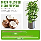 Zoom IMG-1 mcbazel monstera moss pole per Zoom IMG-1 mcbazel monstera moss pole per