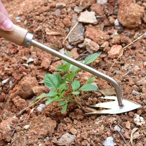 Herramienta Manual para Quitar Malezas con Mango de Madera miniatura 7
