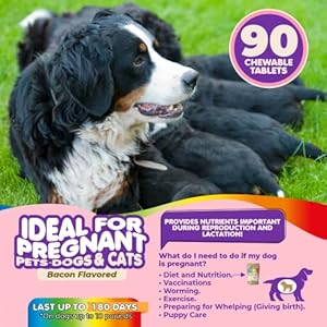 Prenatal-Dog-Vitamins--Multivitamin-for-Dogs-and-Cats-with-Folic-Acid-Minerals-and-Amino-Acids-Ideal-for-Pregnant-Breast-Feeding-and-Newborn-Pets--Senior-Dog-Supplement-Complete-Puppy-Vitamins - Cucciolini Doodles   Prenatal-Dog-Vitamins--Multivitamin-for-Dogs-and-Cats-with-Folic-Acid-Minerals-and-Amino-Acids-Ideal-for-Pregnant-Breast-Feeding-and-Newborn-Pets--Senior-Dog-Supplement-Complete-Puppy-Vitamins