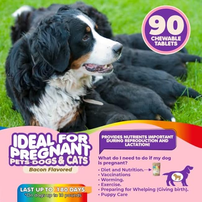 Dog Prenatal Vitamins ¨C Multivitamin, Folic Acid, Calcium, Iron, Minerals and Amino Acids. Ideal for Pregnant, Breastfeeding and Newborn Pets ¨C Senior Dog Supplement, Complete Puppy Multi Vitamin.-C2Ncki47
