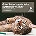 AniForte Land Chicken Nassfutter für Katzen 6 x 200 g – Natürliches Katzenfutter nass getreidefrei, viel frisches Huhn & Gemüse, Katzennassfutter getreidefrei, Futter für Katzen, Wet cat Food