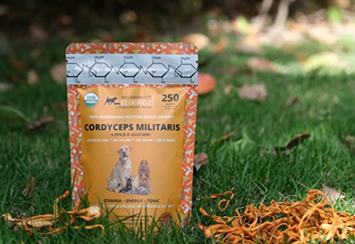 Image of Cordyceps Mushroom Extract for Dogs & Cats - 25%+ Beta Glucans - Fruiting Body (8:1-12:1 Concentrated) - Energy, Stamina & Vitality Support - No Fillers - 250 Servings