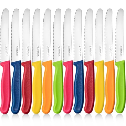 targzier Frühstücksmesser 12 Stück, Edelstahl Tafelmesser,Hochwertiges Tomatenmesser mit Wellenschliff,Bunt Brötchenmesser,Scharfe Messer Set für Brotzeit,Kunststoffgriff Messerset