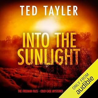 Into the Sunlight Audiolibro Por Ted Tayler arte de portada