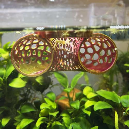 Image of Floating Betta Tunnel for Betta Training. Interactive Training & Enrichment Toy for Betta Fish - Stress Relief & Exercise Accessory, Floating Betta Fish Toys