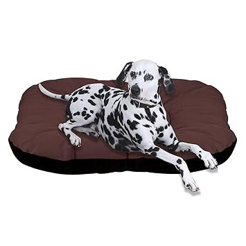 Mellifluous Rectangular Washable Soft Velvet Pet Bed for Dog and Cat (XXL,Brown-Black)