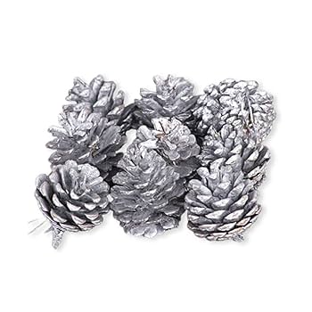 松ぼっくりのパステル画 Oct. 13, 2025 9 cm x 9 cm (app. 4