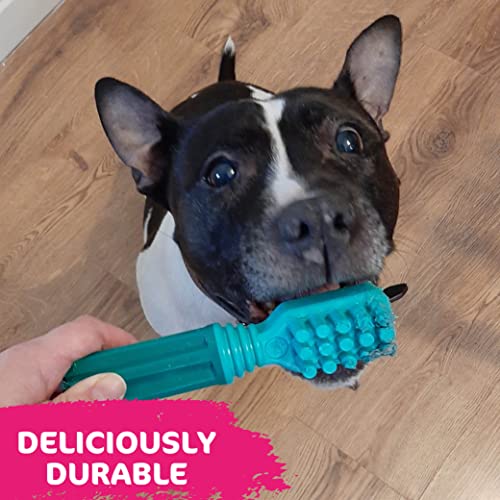 TastyBone TastyBrush Dental Nylon Dog Chew Toy (Fresh Mint) - Strong Healthy Teeth & Gums, Indestructible for Aggressive Chewers - Image 3