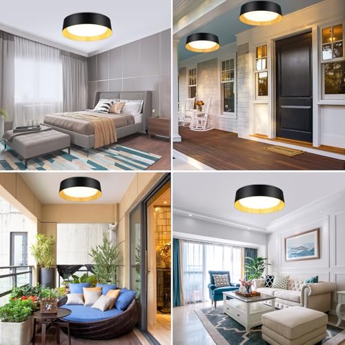 Image of Flush Mount Ceiling Light, 16in Modern Ceiling Light 5 Color Temperature