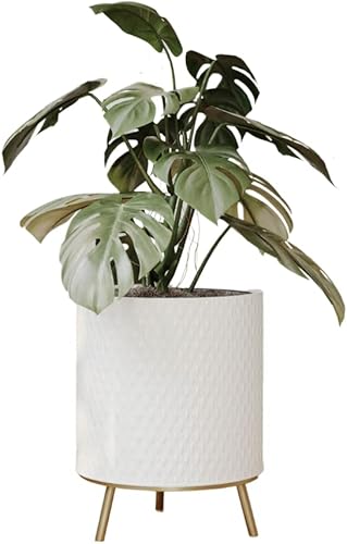 EverNest Claire - Maceta blanca neutra de panal con soporte Nyra, macetas de interior, SelectBase, moderna de mediados de siglo, decoración del