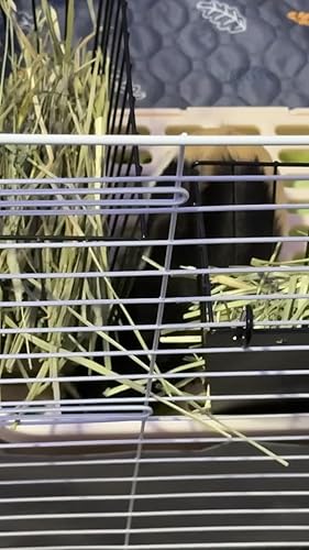 Science Selective Timothy Hay 400 gram voor Knaagdieren en Konijnen