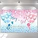 Avezano Gender Reveal Backdrop Boy or Girl Sign Banner Blue and Pink Stars Dots Balloon Theme Baby Gender Reveal Party Decorations Gender Reveal Party Supplies 70.8 x 43.3 Inch