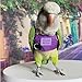 FORZENA Bird Flight Harness Vest Parrot Flight Suit with Leash for Parakeets Cockatiels Conures Budgies Bird Flying Clothes with Rope and Handle for Outdoor Activities Training (XL,Purple)