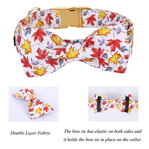 Lionet Paws Dog Collar with Bowtie, Autumn Bowtie for Dogs, Adjustable Comfortable Dog Collar Girl Boy, M, Neck 34-55cm - Image 3