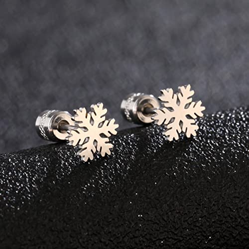 Hopply Titanium Screw Back Stud Earrings For Women's Gifts,Winter Snowflake Christmas Jewellery,Hypoallergenic Surgical Stainless Steel 20G Helix Piercing Post For Sensitive Ears (Snowflake-Silver/8Mm) #TOP1
