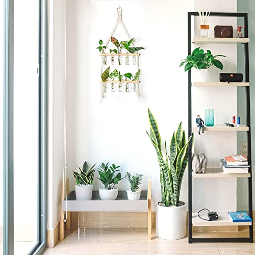 Ivolador Wall Hanging Planter Terrarium With Wooden Stand, 10 Pieces Mini Test Tube Retro Hanging Glass Plants Propagator Station For Hydroponic Plants Cutting #TOP5