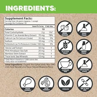 Superieur Electrolytes–Plant Based Electrolyte Supplement w/Sea Minerals for Hydration & Recovery–Keto Friendly, Non-GMO, Zero Sugar, Vegan, Healthy Sports Drink Powder–Lime Blueberry (70 Servings)