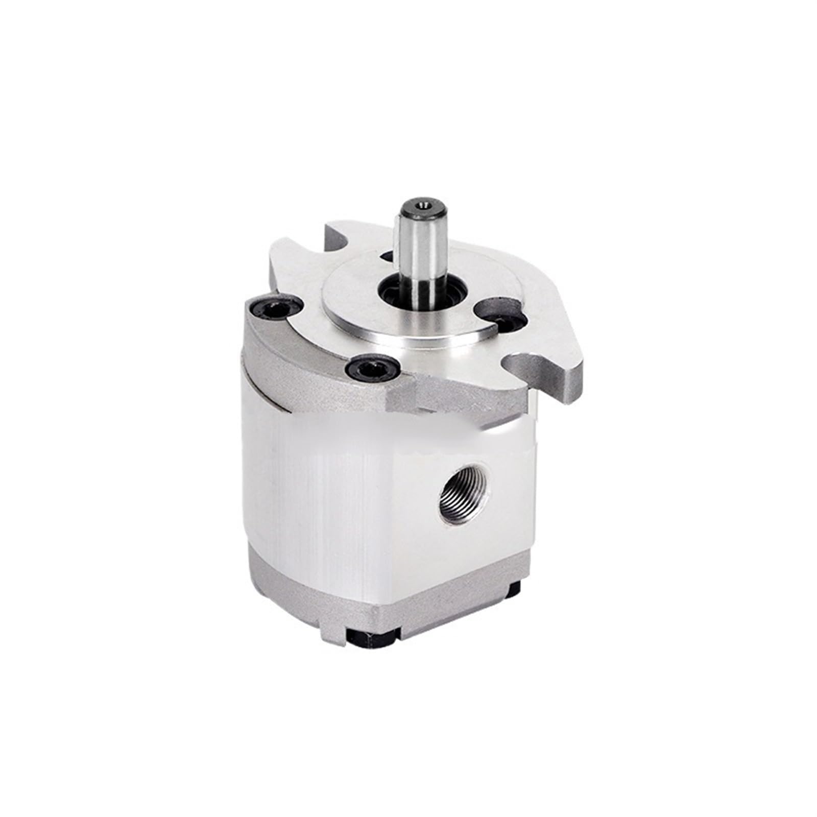 Hydraulic Gear Pump Hydraulic Gear Pump Cast Aluminum Hydraulic HGP-1A-F1R HGP-1A-F2R HGP-1A-F5R(HGP1AF7R)