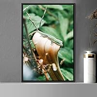 Framed Canvas Wall Art Reptile Contemporary Dramatic Hallway Iguana Multicolor Photography Reptiles - 16x24 inches