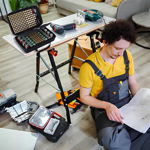 Peyyargo Hart Batterie Organizer Aufbewahrungsbox kompatibel mit 259 Batterien AA AAA C D 9V (Batterien sind Nicht enthalten), M Größe Tasche