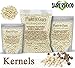 Moringa Seeds Kernel Shelled 2 lbs. Wide Mouth Jar - Clean PKM1 Variety - Edible - Moringa Oleifera - Malunggay - Semillas De Moringa - Drumstick Tree - Non-GMO - 4000 to 4800 Seeds Approx.