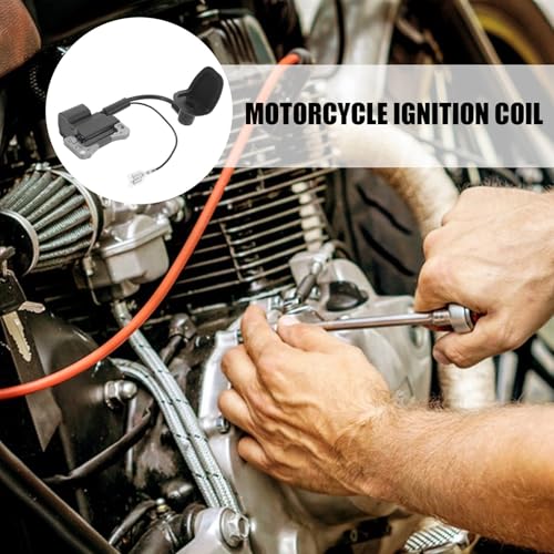 Bobina de encendido resistente para mini motocicleta con diseño estructural 4