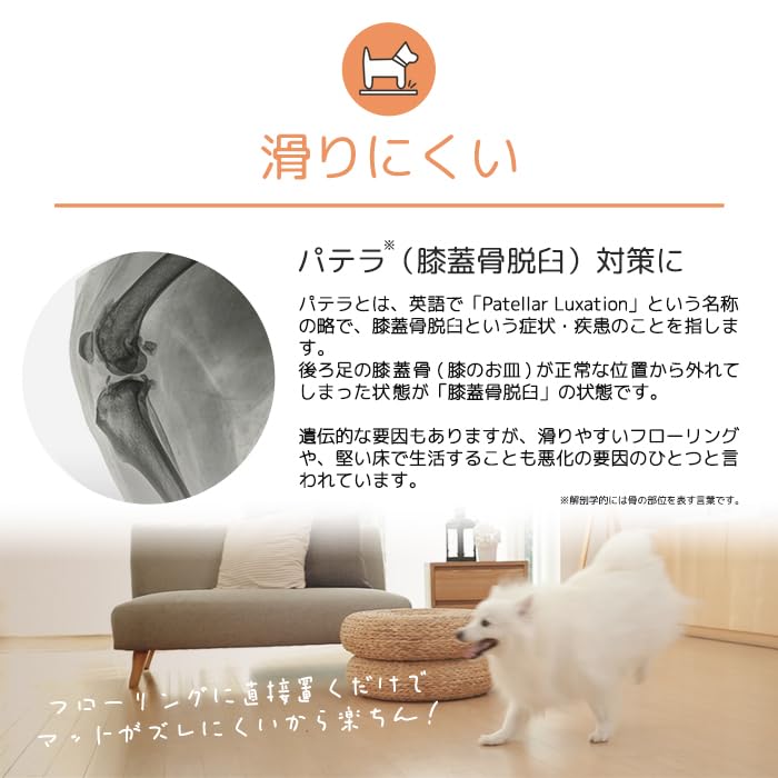 dfang ペットプレイマット 2枚セット Amazon | dfang【ペットプレイマット 厚み5mm 折りたたみタイプ