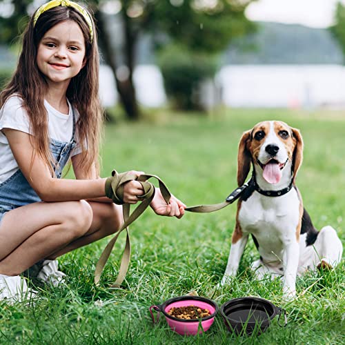 Image of SLSON Plastic Dog Bowl Pet Collapsible Bowls,2 Pack ,Portable Pet Feeding Watering Dish For Walking Parking Traveling With 2 Carabiners (Small,Black & Pink) 12.7 Cm,9 Cm,5.5 Cm