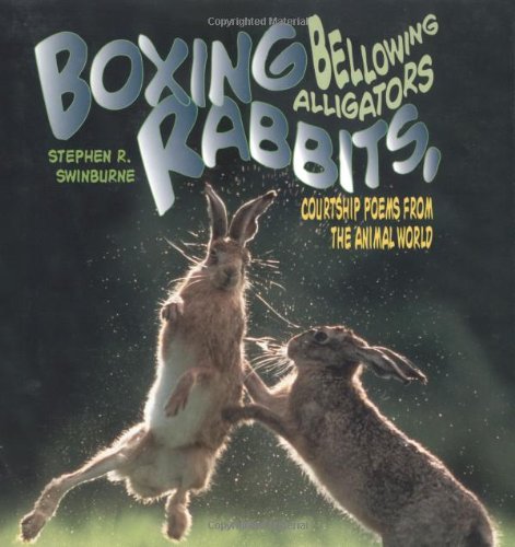 Boxing Rabbits, Bellowing Alligators: Courtship Poems from the Animal ...