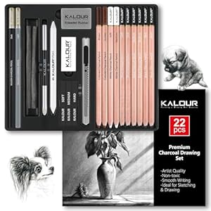 KALOUR PDAS 22pcs Charcoal Drawing Set, Professional Art Supplies, Black & White Charcoal Pencils for Drawing, Sketching, Shading, Blending, Artist Pencils for Beginners & Pro Artists