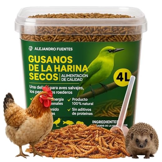 AF® - Gusanos de la Harina Deshidratados 600gr | 4L Tenebrios Molitor Natural para Reptiles, Erizos y Gusanos para pajaros | Snack Alto en Proteína para Terrarios, Comida para Vencejos 100% Natural