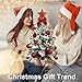 2FT Tabletop Mini Christmas Tree with Lights, Holiday Red Artificial Snow Flocked Christmas Tree for Table Top, Small Pre-lit Faux Realistic Xmas Tree with Decoration for Home, Office, Desk