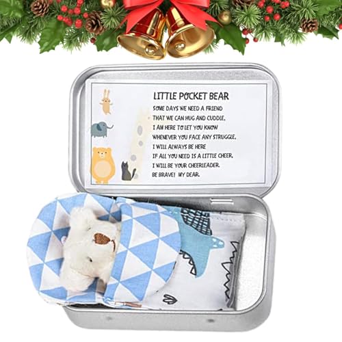 Scatola di Orso Tasca Orso di Peluche in di Ferro Bianco Giocattoli di Orso di Morbido per Ragazzi e Ragazze Regali di Festa Di Natale di Compleanno Box Boy