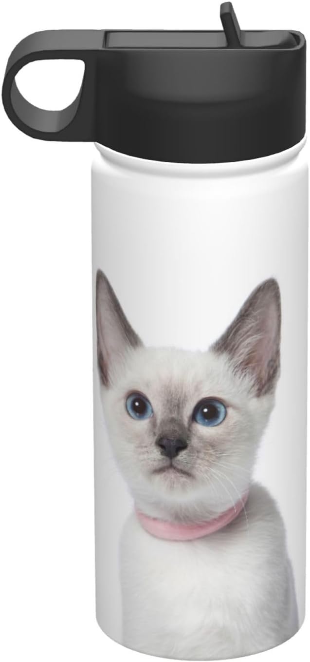 ロベルト・バッジョ イタリア代表ラストマッチ キャプテンマーク