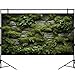 Rock Wall Aquarium Background Inner Wall Adorned with Lush Green Moss Fish Tank Background Stone Rock Wall Reptile Tank Background Moss with Stone Wall Reptile Habitat Terrarium Background 36x18in
