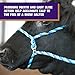 Weaver Leather Livestock Kirk Stierwalt Breaking Halter,Black,8 1/2'