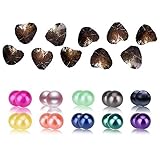 10PC Oysters with Love Wish Twin Pearls Round Inside Freshwater Cultured 10 Colors (7-8mm), Valentines Mothers Day Birthday Gifts Pearl Wedding Party (total 20 Pearls)