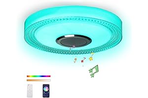 Waterproof Speaker Ceiling Light with Bluetooth