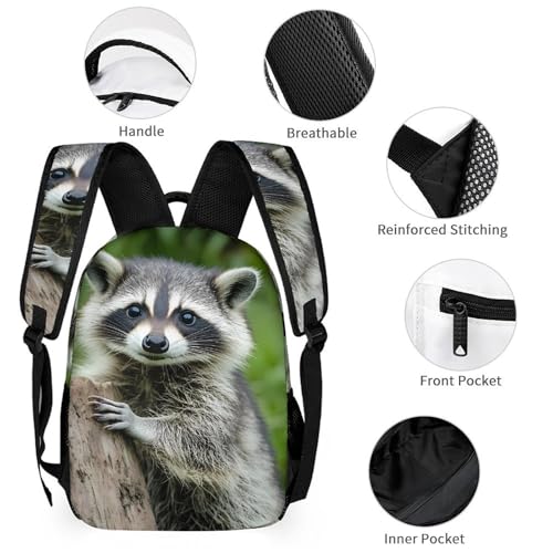 Cute Raccoon 3 PCS Backpack Set Casual Daypack with Insulated Lunch Bag & Pencil Case3