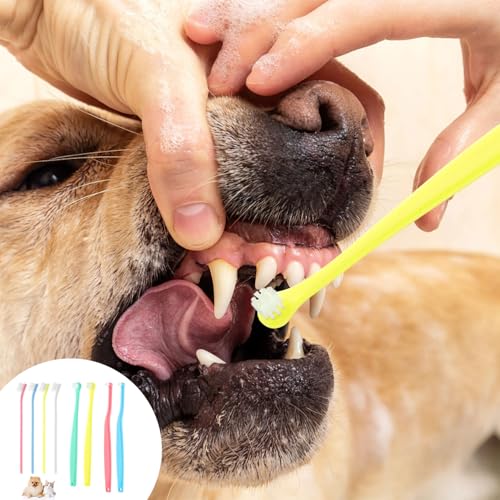 Image of XIHIRCD 8pcs Pet Toothbrush, 3 Styles Cat & Dog Toothbrush Micro Brush Head Puppy Mini Toothbrush Soft Bristle Small Dog Dental Clean Kit for Teeth Clean Plaque Tartar Formation (Colour 3)