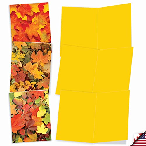 Image of The Best Card Company - 10 Beautiful Note Cards Blank (4 x 5.12 Inch) - Fall and Autumn Season, Boxed Notecard Assortment - Leaf a Message M2009